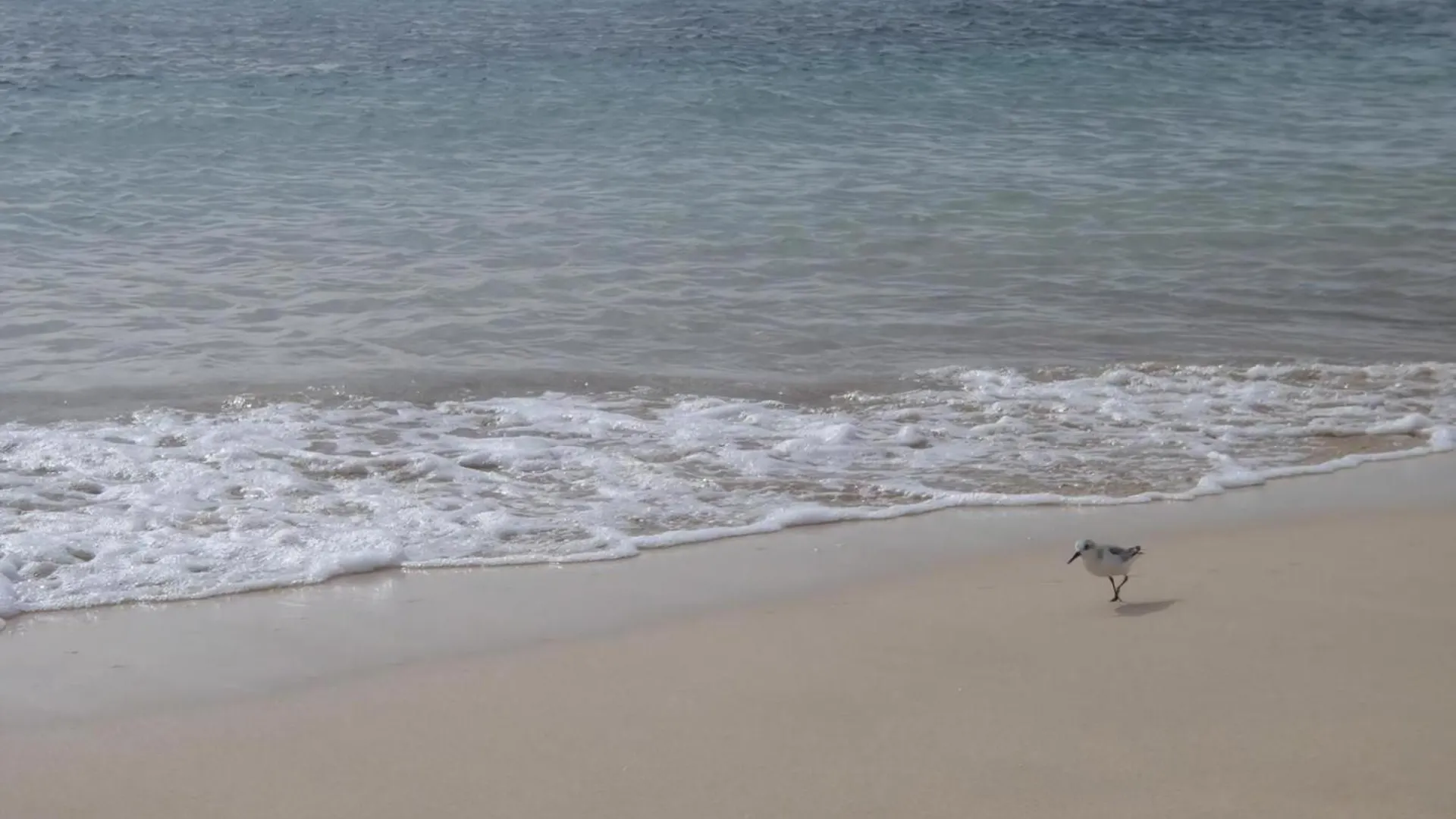 Strandnahe Ferienwohnung In Morro Jable Apartman Morro Jable (Fuerteventura)